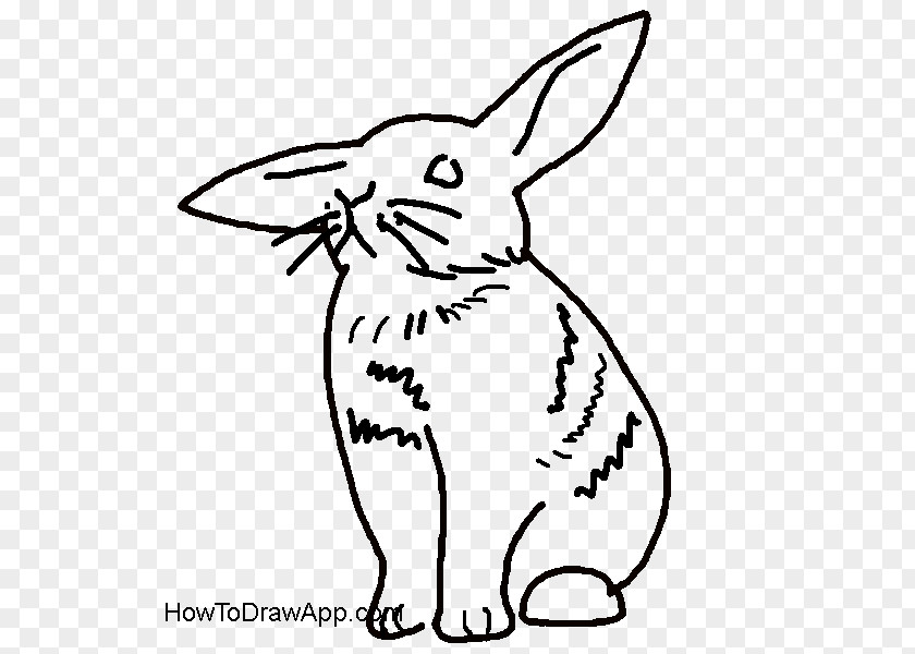 Rabbit Domestic Hare Whiskers Drawing PNG