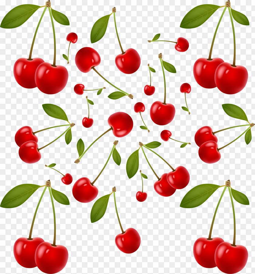 Red Simple Cherry Fruit Barbados Auglis PNG