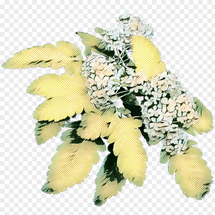 Bouquet Leaf Floral Flower Background PNG