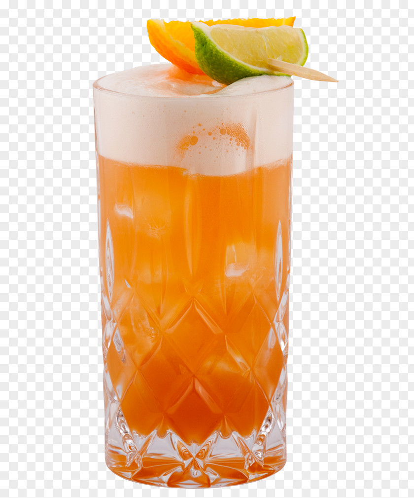 Gin Fizz Orange Drink Sea Breeze Sour Long Island Iced Tea Cocktail PNG