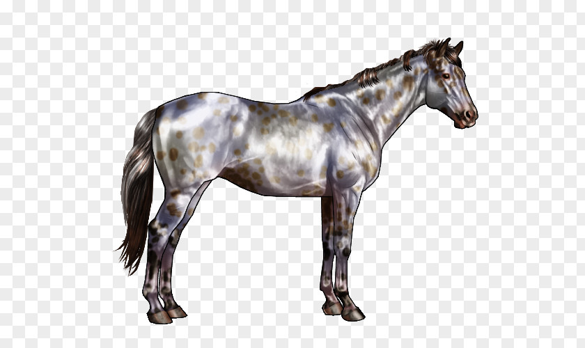 Horse Pattern American Quarter Roan Gray Black White PNG