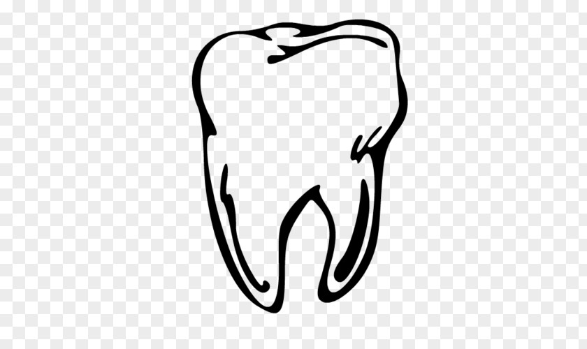 Molar Human Tooth Drawing Clip Art PNG