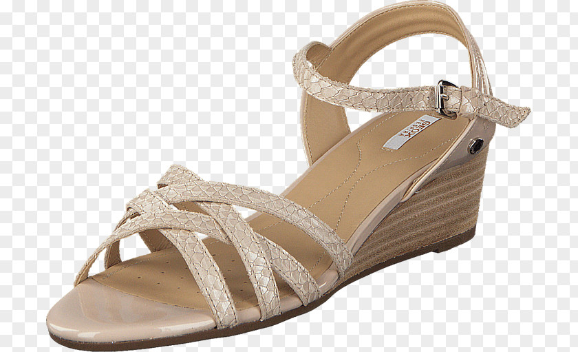 Sandal High-heeled Shoe Court Leather PNG