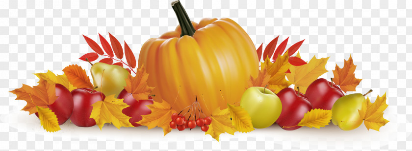 Thanksgiving Vector Material Autumn Illustration PNG