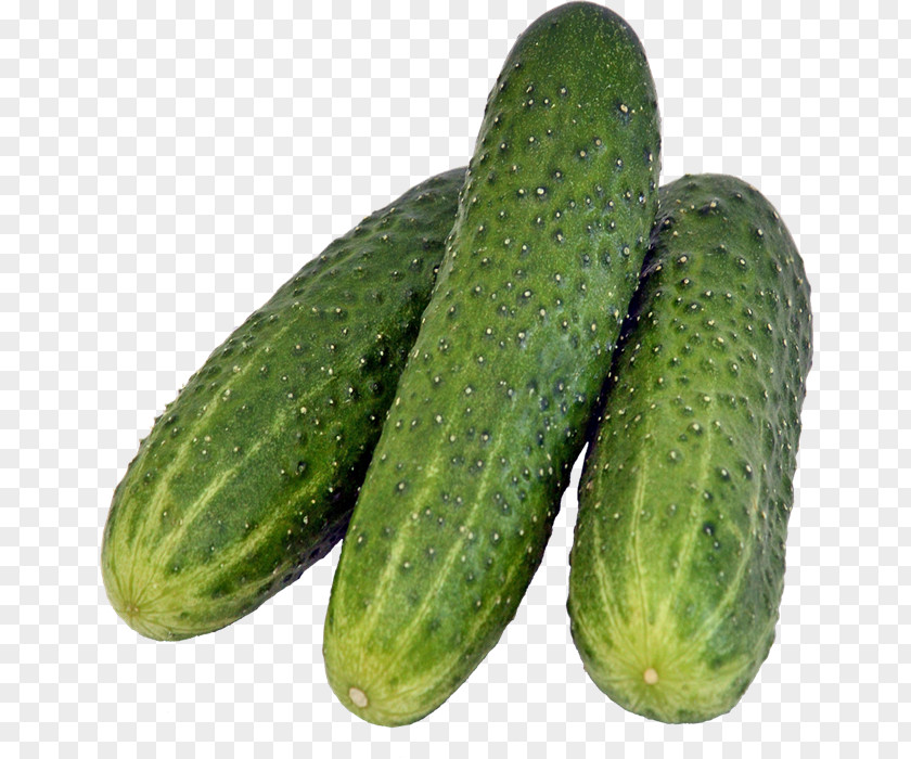 Cucumber Pickled Rassolnik PNG