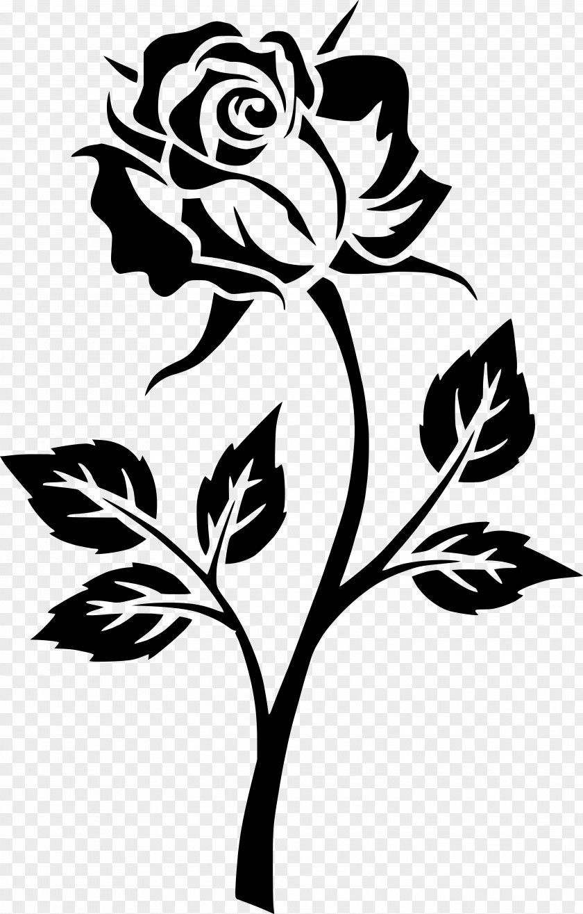 Drawing Image Clip Art Floral Design Rose PNG