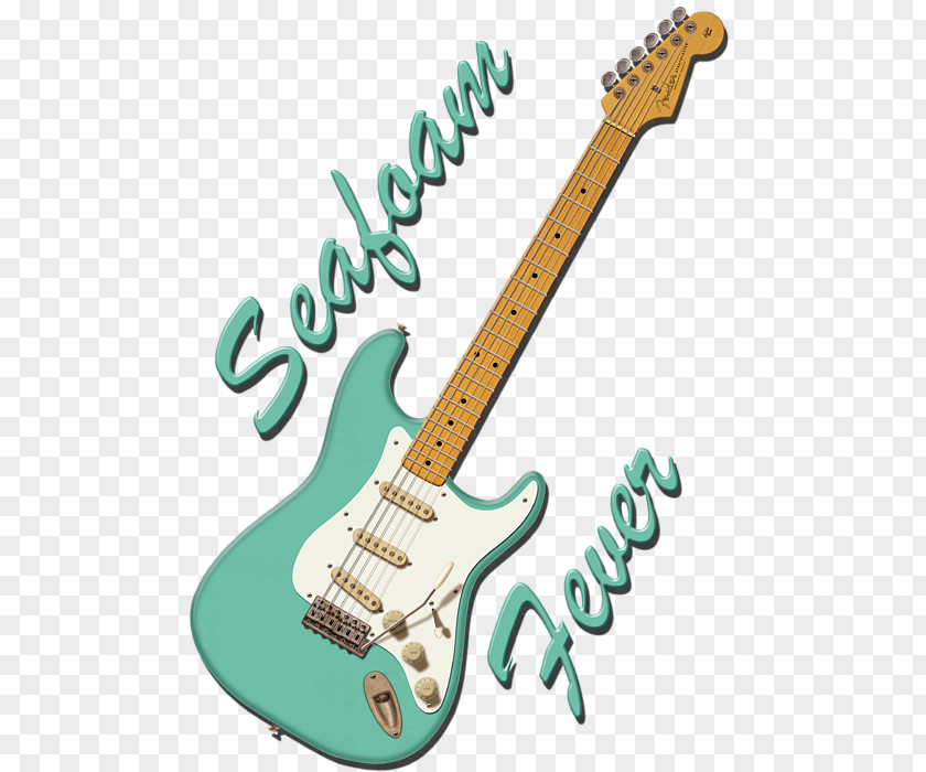 Fever Bass Guitar Acoustic-electric Slide PNG