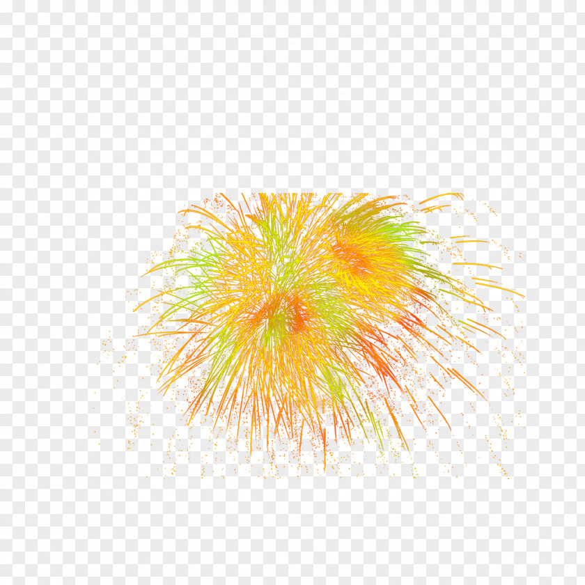 Fireworks Yellow Petal Close-up Wallpaper PNG