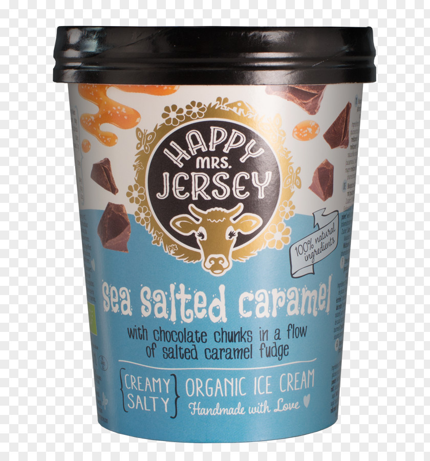 Ice Cream Gelato Albert Heijn Chocolate Brownie Caramel PNG