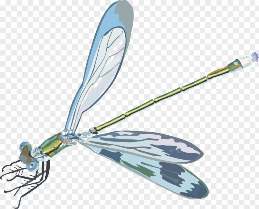 Vector Dragonfly Insect Euclidean Clip Art PNG