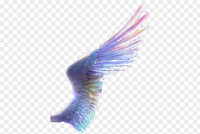 Colored Wings Paper Drawing PNG