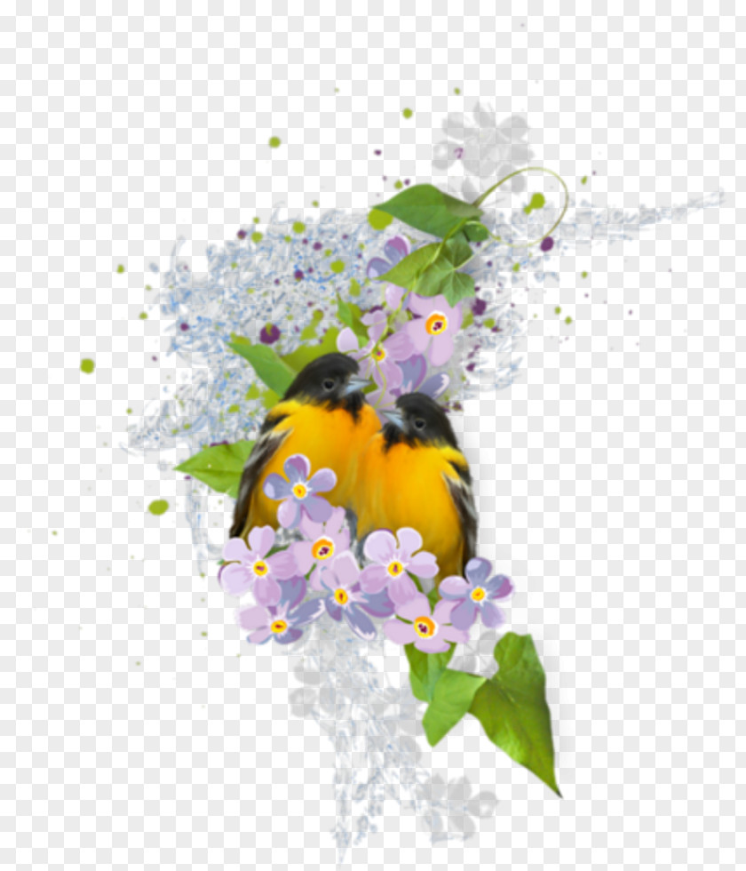 Desktop Wallpaper Floral Design Clip Art PNG