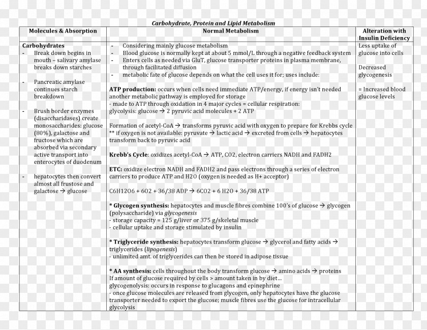 Document Curriculum Vitae Template Adibide Résumé PNG