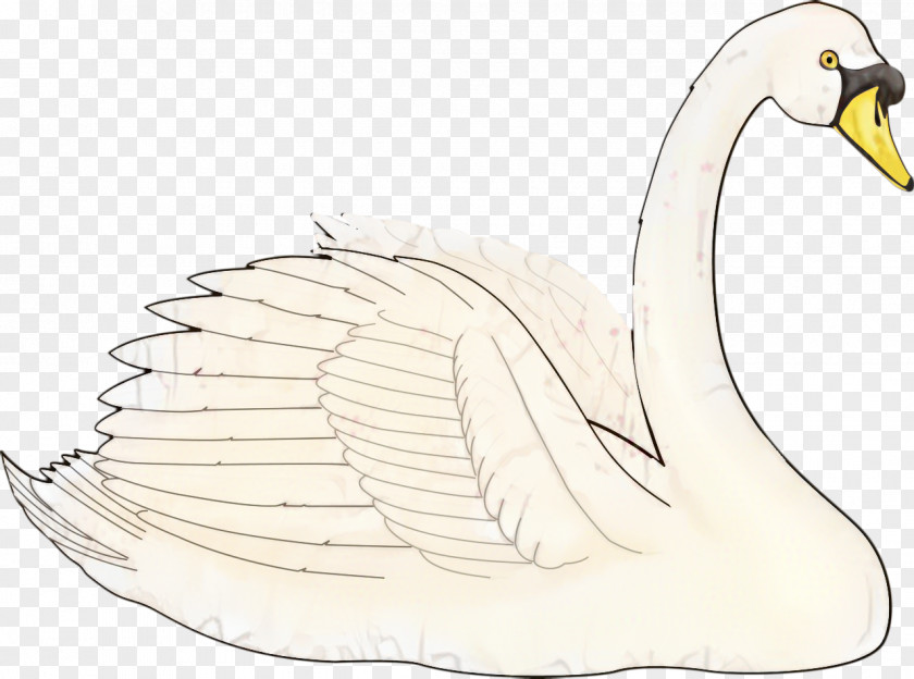 Drawing Trumpeter Swan Bird Line PNG