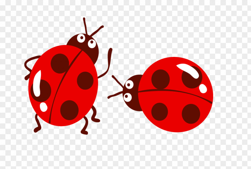 Firefly Ladybird Beetle Euclidean Vector Clip Art PNG