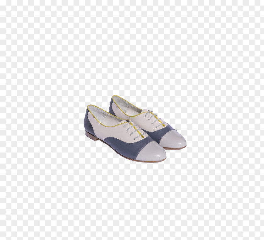 Flat Shoes Dress Shoe Ballet PNG