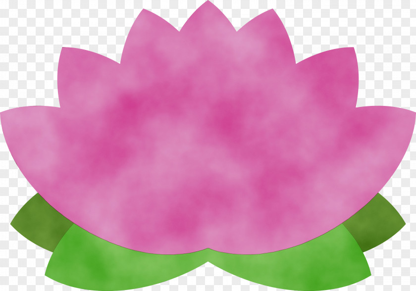 Floral Design PNG