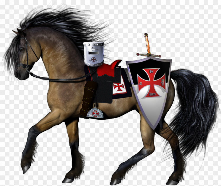 Knight Knights Templar Clip Art PNG