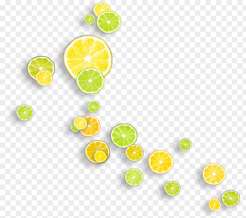 Lemon Download Color Television PNG