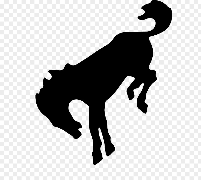 Mustang Bucking Silhouette Bronco Clip Art PNG