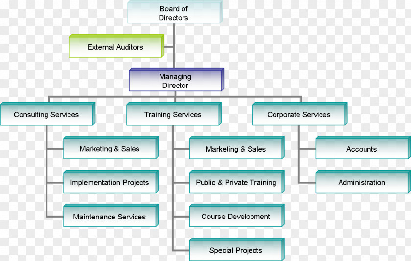 Organization Chart Organizational Business Structure Company PNG