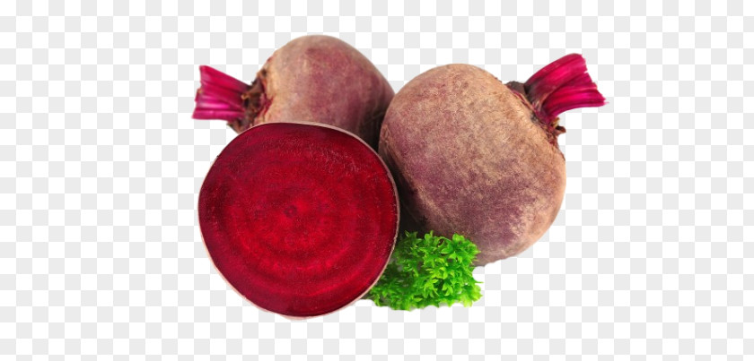Beet PNG clipart PNG