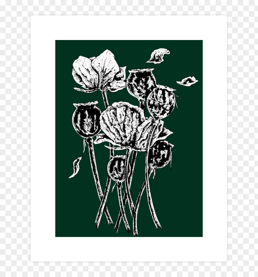 Book Illustration Opium Poppy Visual Arts PNG