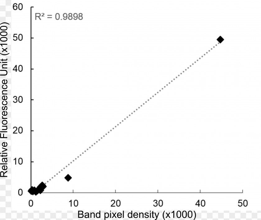 Correlation Point Angle Document Lecture Energy Development PNG