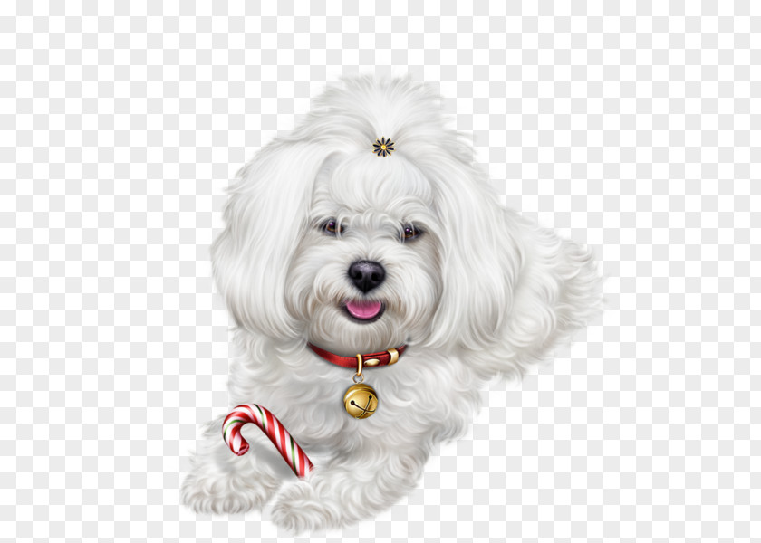 Dog 0 Puppy Clip Art PNG