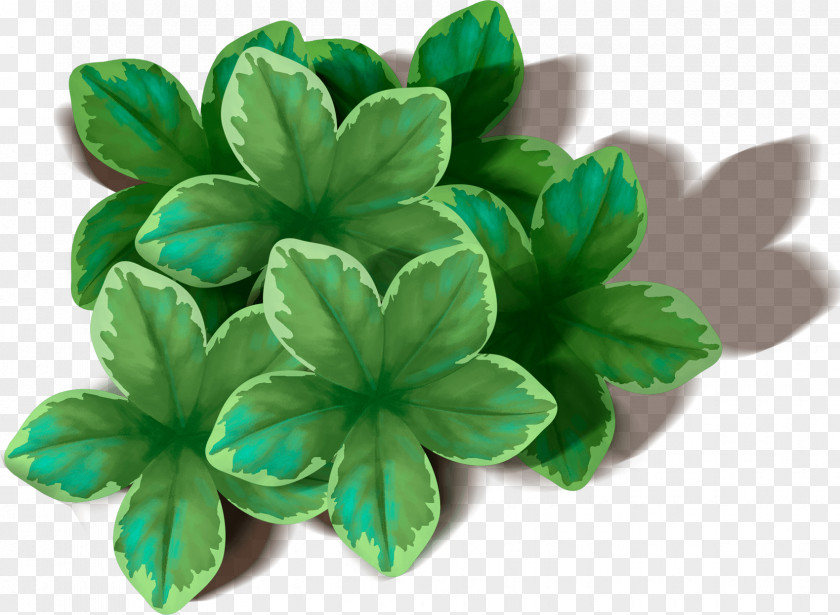 Green Leaf Wallpaper PNG