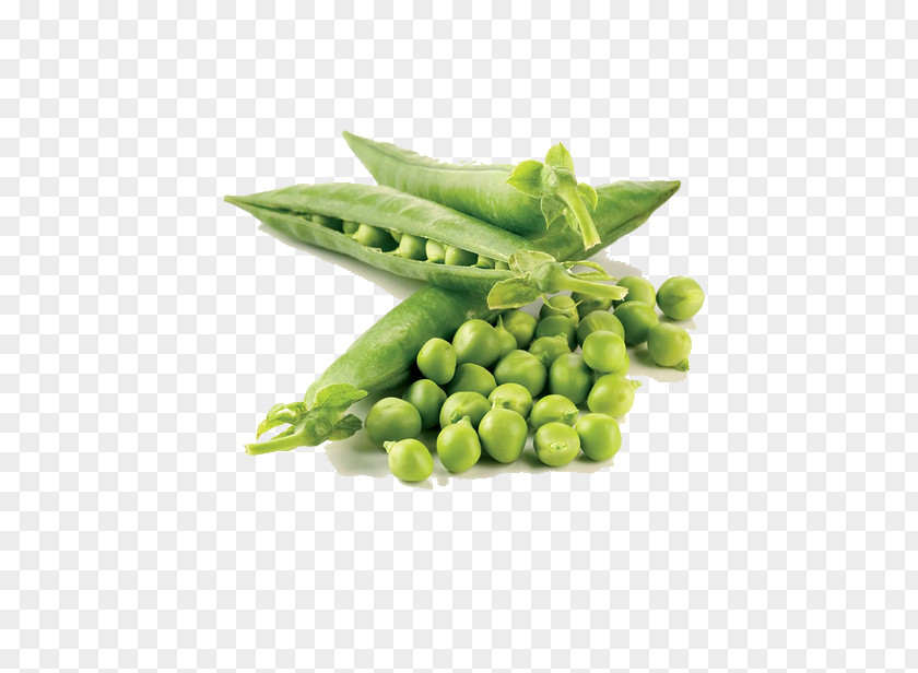 Pea Food Vegetable Legume Protein PNG