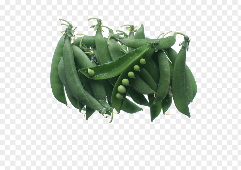 Pea Snow Vegetable Bean Sowing Food PNG