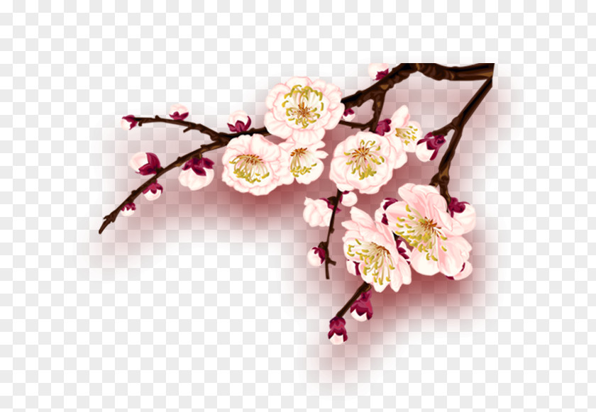 Plum Flower New Year PNG