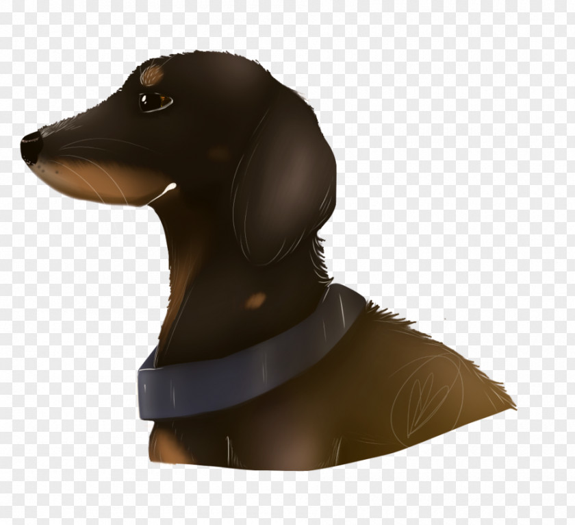 Puppy Dog Breed Dachshund Product Neck PNG