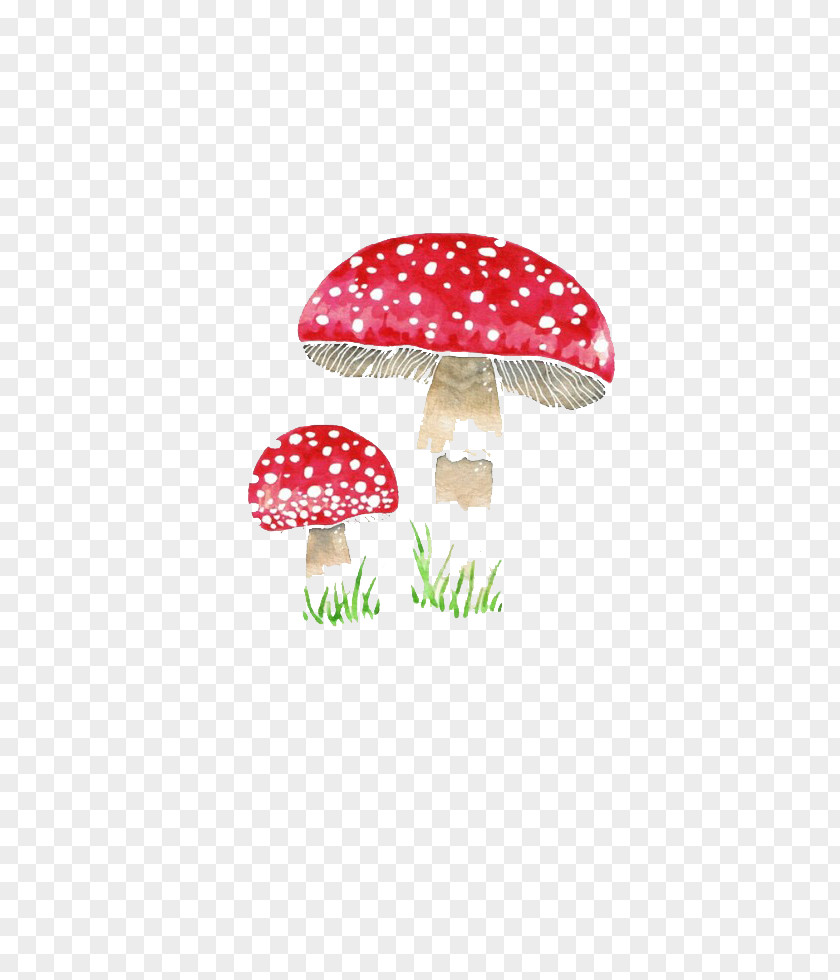 Red Mushroom Amanita Muscaria Fungus Euclidean Vector PNG