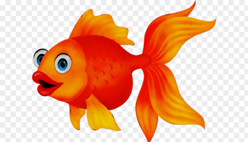 Tail Bonyfish Orange PNG