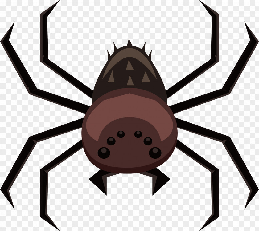 The Great Spider Euclidean Vector Clip Art PNG