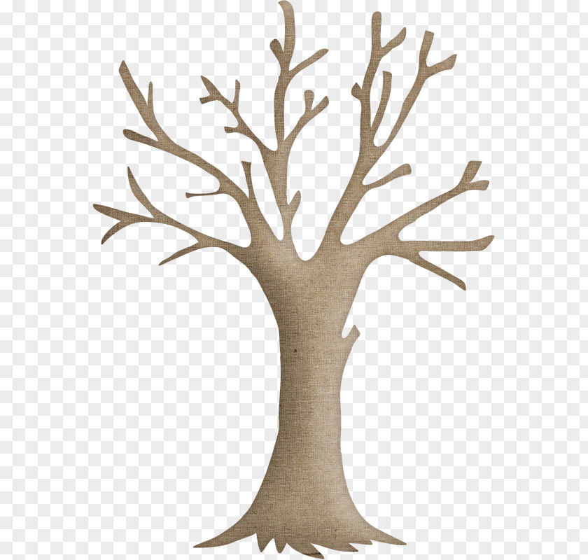Trunk Flower Tree Drawing PNG