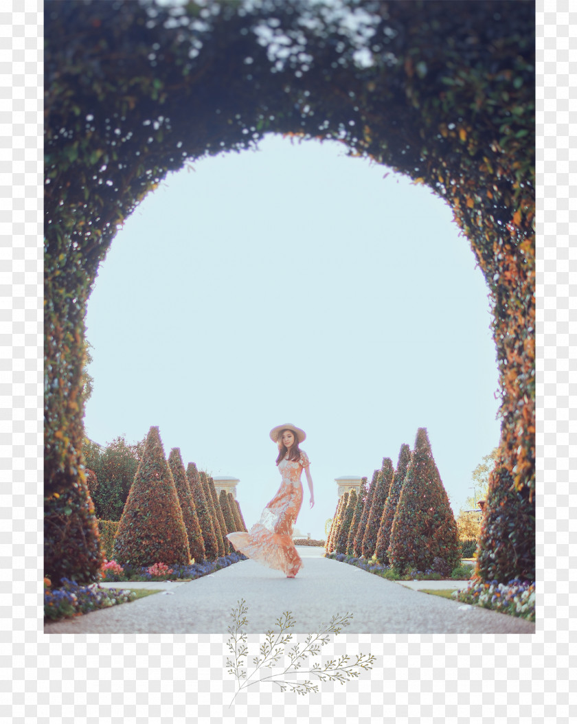 Wedding Arch Fashion Model Blog Clothing Garden PNG