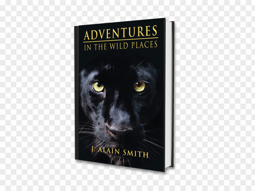 Wild Adventure Secret History Of The Jungle Book Business Black Panther PNG