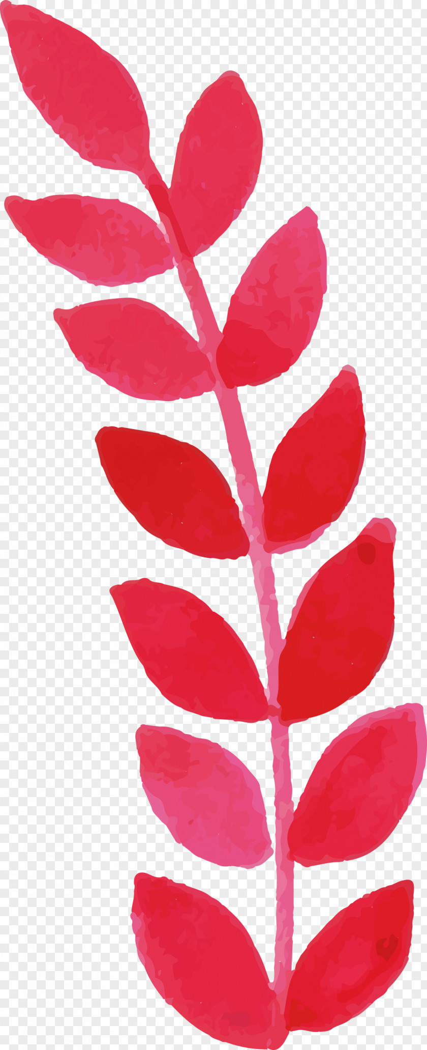 Yasu Ritto Konan Moriyama Plant Stem PNG