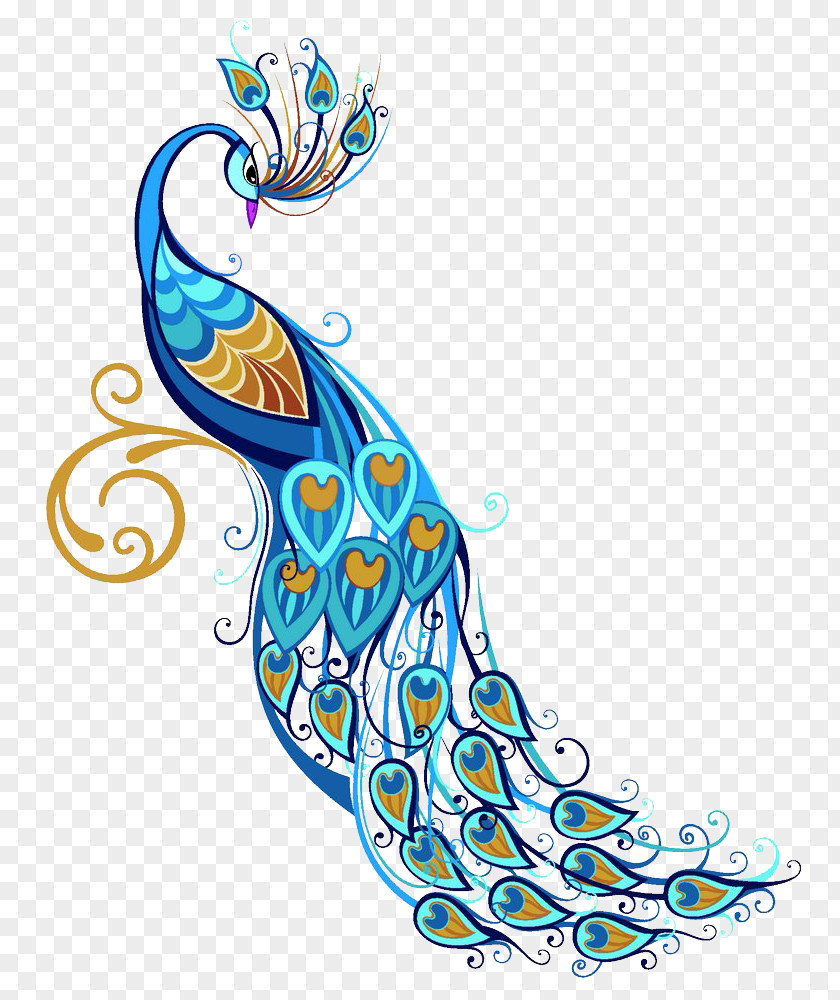 Beautiful Peacock Vector Bird Peafowl Feather Clip Art PNG