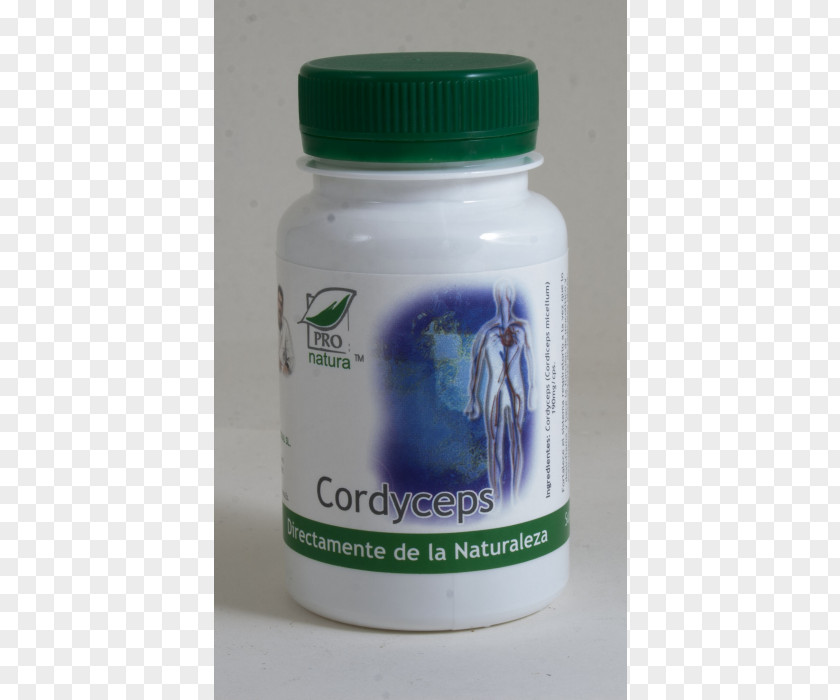 Cordyceps Immunity Antioxidant Inflammation Therapy PNG