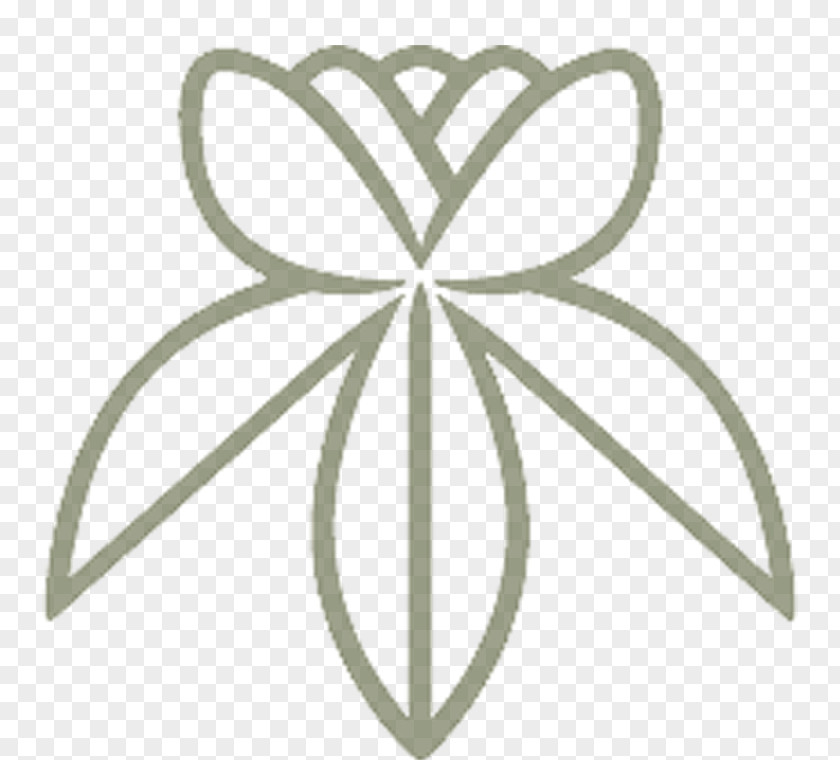 Line Petal Symmetry Angle Leaf PNG