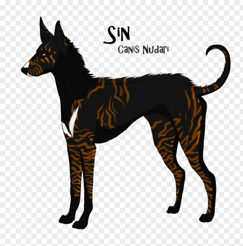 Seven Mortal Sins Dog Breed Ibizan Hound American Foxhound Julius-K9 IDC Powerharness PNG