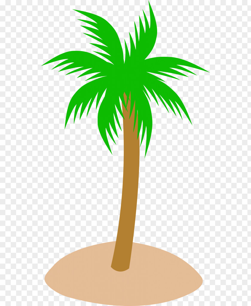 Arecaceae Royalty-free Clip Art PNG