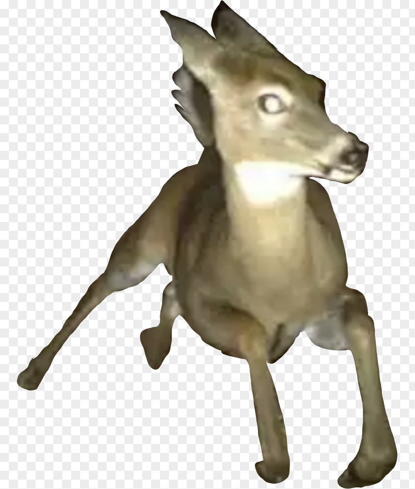Italian Greyhound Kangaroo Dog Breed PNG