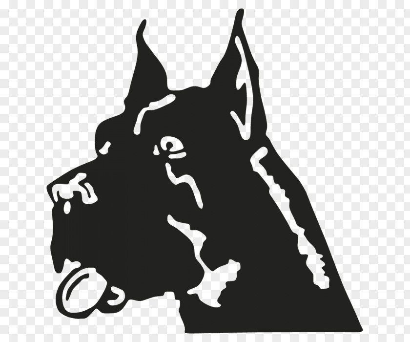 The Dog Decal Cat Clip Art Mammal Snout PNG