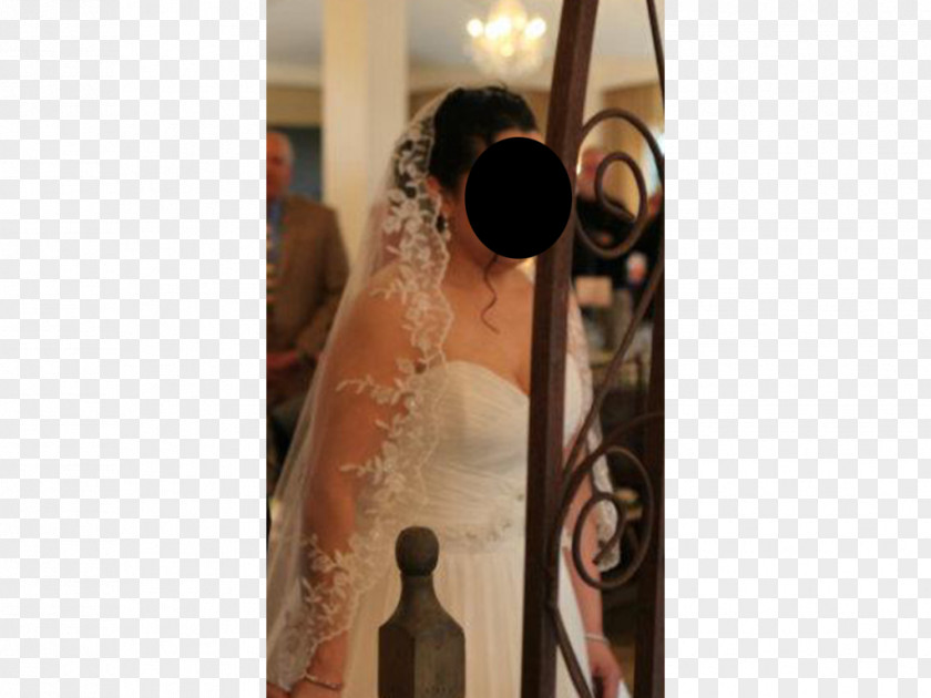 Bridal Veil Gown Shoulder PNG