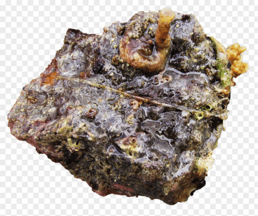 Nano Aquarium Mineral Igneous Rock PNG